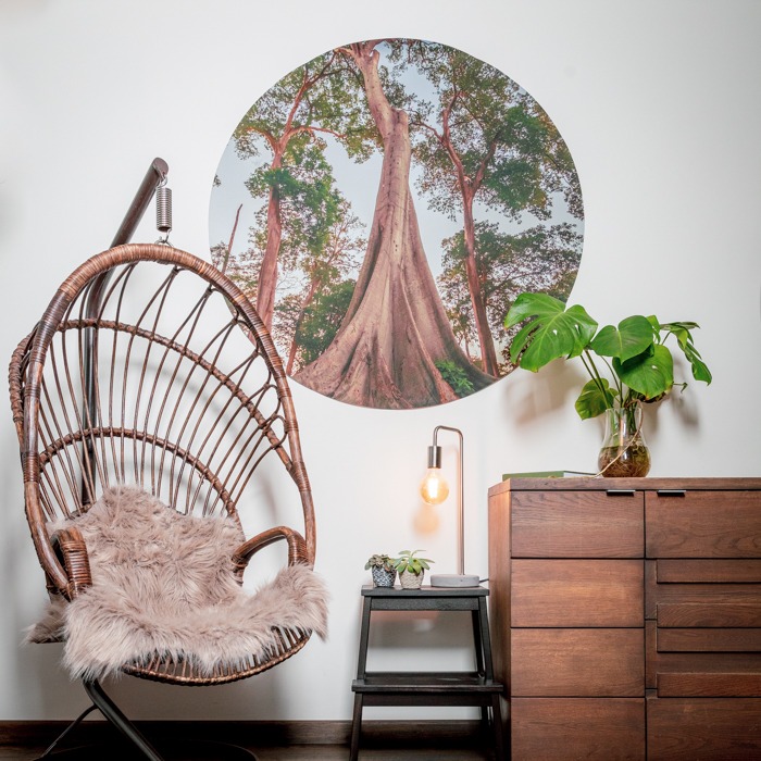 Wallpaper Circle
